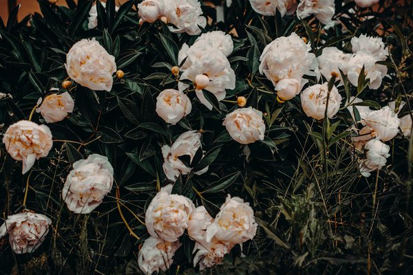 Air duct cleaning uk: improve air quality and efficiency