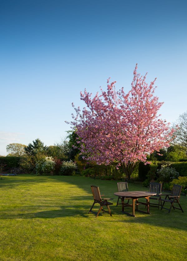 Transform your garden with expert landscaping services Bristol