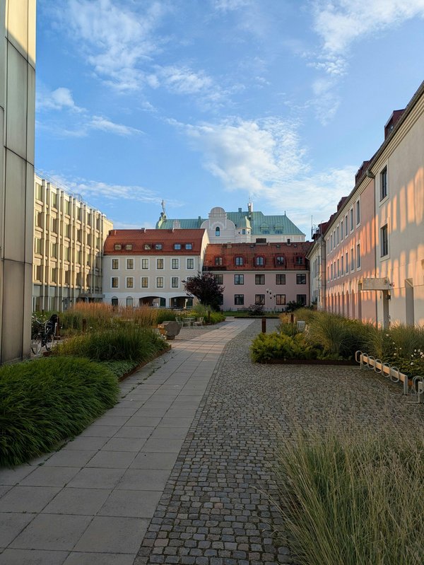 Driveway installation purley: expert paving solutions for your home