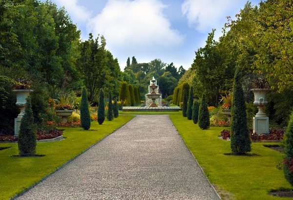 Expert garden designers in kent for your perfect oasis